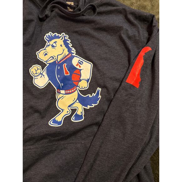 Vantage Delaware Blue Coats Mascot Hoodie – Size Small - Picture 3 of 6